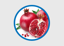ProstaGenix Ingredients - Pomegranate